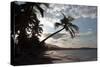 Sunset, Playa Dorada Beach, Near Puerto Plata, Dominican Republic-Natalie Tepper-Stretched Canvas