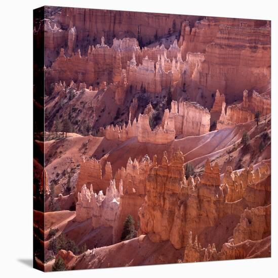 Sunset Point, Bryce Canyon, Utah, USA-Paul C. Pet-Stretched Canvas
