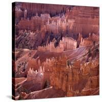 Sunset Point, Bryce Canyon, Utah, USA-Paul C. Pet-Stretched Canvas