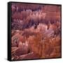 Sunset Point, Bryce Canyon, Utah, USA-Paul C. Pet-Framed Stretched Canvas