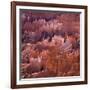 Sunset Point, Bryce Canyon, Utah, USA-Paul C. Pet-Framed Photographic Print