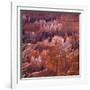 Sunset Point, Bryce Canyon, Utah, USA-Paul C. Pet-Framed Photographic Print