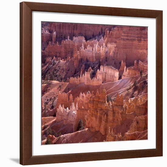 Sunset Point, Bryce Canyon, Utah, USA-Paul C. Pet-Framed Photographic Print