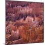 Sunset Point, Bryce Canyon, Utah, USA-Paul C. Pet-Mounted Photographic Print