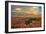 Sunset Point View, Bryce Canyon National Park, Utah, Wasatch Limestone Pinnacles-Tom Till-Framed Photographic Print
