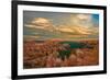 Sunset Point View, Bryce Canyon National Park, Utah, Wasatch Limestone Pinnacles-Tom Till-Framed Photographic Print