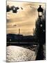 Sunset - Pont des Arts - Paris - France-Philippe Hugonnard-Mounted Premium Photographic Print