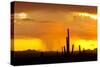 Sunset Rain-Douglas Taylor-Stretched Canvas