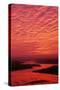 Sunset Red Sky over River-null-Stretched Canvas