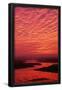 Essential Black