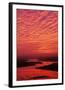 Chelsea Black