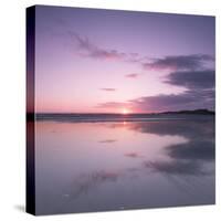Sunset Reflected in Wet Sand and Sea on Crackington Haven Beach, Cornwall, England, UK, Europe-Ian Egner-Stretched Canvas