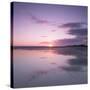 Sunset Reflected in Wet Sand and Sea on Crackington Haven Beach, Cornwall, England, UK, Europe-Ian Egner-Stretched Canvas