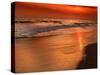 Sunset Reflection, Cape May, New Jersey, USA-Jay O'brien-Stretched Canvas