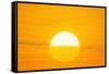 Sunset Reflection on Solar Panel, Artwork-Detlev Van Ravenswaay-Framed Stretched Canvas