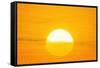 Sunset Reflection on Solar Panel, Artwork-Detlev Van Ravenswaay-Framed Stretched Canvas