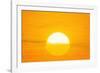 Sunset Reflection on Solar Panel, Artwork-Detlev Van Ravenswaay-Framed Photographic Print