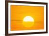 Sunset Reflection on Solar Panel, Artwork-Detlev Van Ravenswaay-Framed Photographic Print