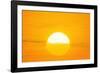 Sunset Reflection on Solar Panel, Artwork-Detlev Van Ravenswaay-Framed Photographic Print