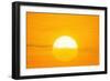 Sunset Reflection on Solar Panel, Artwork-Detlev Van Ravenswaay-Framed Photographic Print