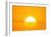 Sunset Reflection on Solar Panel, Artwork-Detlev Van Ravenswaay-Framed Photographic Print