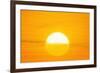 Sunset Reflection on Solar Panel, Artwork-Detlev Van Ravenswaay-Framed Photographic Print