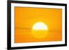 Sunset Reflection on Solar Panel, Artwork-Detlev Van Ravenswaay-Framed Photographic Print