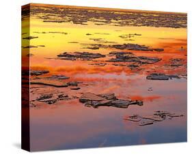 Sunset Reflection-null-Stretched Canvas