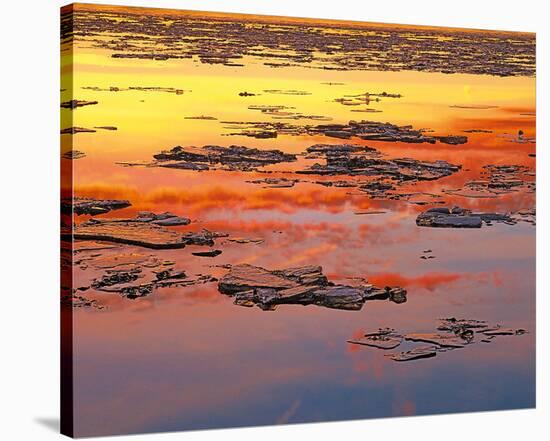 Sunset Reflection-null-Stretched Canvas