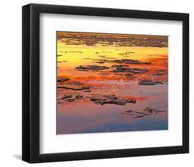 Sunset Reflection-null-Framed Art Print