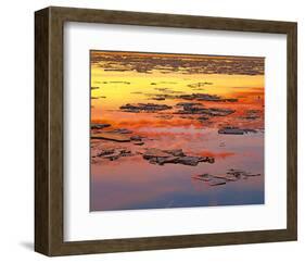 Sunset Reflection-null-Framed Art Print
