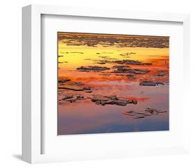 Sunset Reflection-null-Framed Art Print