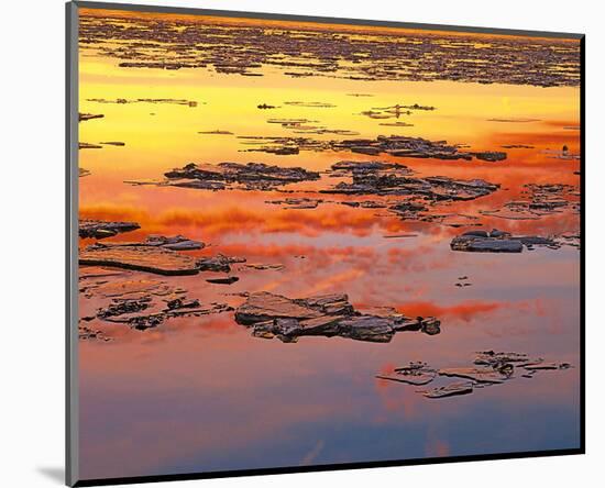 Sunset Reflection-null-Mounted Art Print