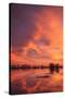 Sunset Reflections at Merced Wildlife Refuge-Vincent James-Stretched Canvas