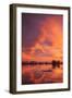 Sunset Reflections at Merced Wildlife Refuge-Vincent James-Framed Photographic Print