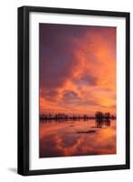 Sunset Reflections at Merced Wildlife Refuge-Vincent James-Framed Photographic Print