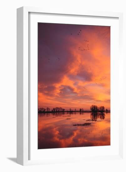 Sunset Reflections at Merced Wildlife Refuge-Vincent James-Framed Photographic Print