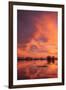 Sunset Reflections at Merced Wildlife Refuge-Vincent James-Framed Photographic Print