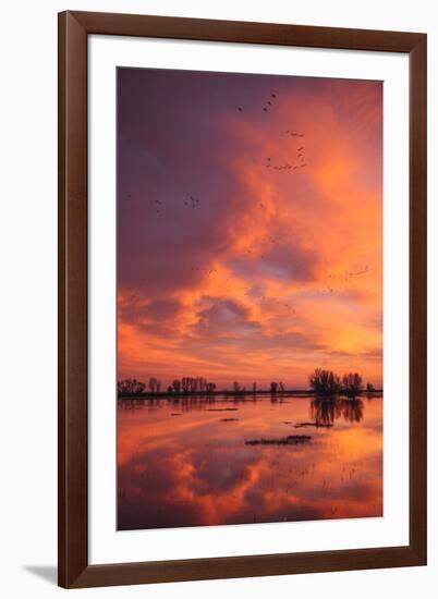 Sunset Reflections at Merced Wildlife Refuge-Vincent James-Framed Photographic Print
