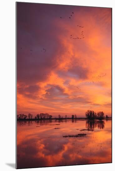 Sunset Reflections at Merced Wildlife Refuge-Vincent James-Mounted Photographic Print