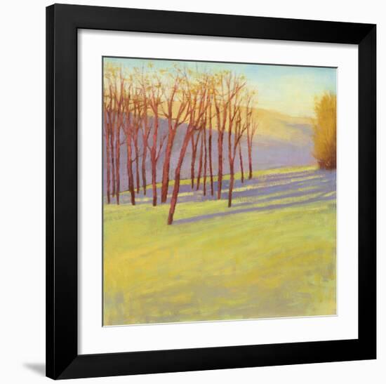 Sunset Reverie-David Skinner-Framed Giclee Print