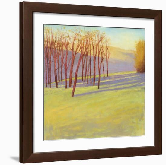 Sunset Reverie-David Skinner-Framed Giclee Print