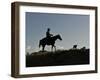 Sunset Ride-Amanda Lee Smith-Framed Photographic Print