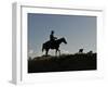 Sunset Ride-Amanda Lee Smith-Framed Photographic Print