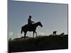 Sunset Ride-Amanda Lee Smith-Mounted Photographic Print
