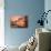 Sunset Ridge-Gordon Semmens-Photographic Print displayed on a wall