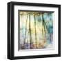 Sunset Ripple 1-Diane Poinski-Framed Giclee Print