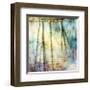 Sunset Ripple 1-Diane Poinski-Framed Giclee Print