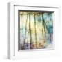 Sunset Ripple 1-Diane Poinski-Framed Giclee Print