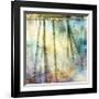 Sunset Ripple 1-Diane Poinski-Framed Giclee Print